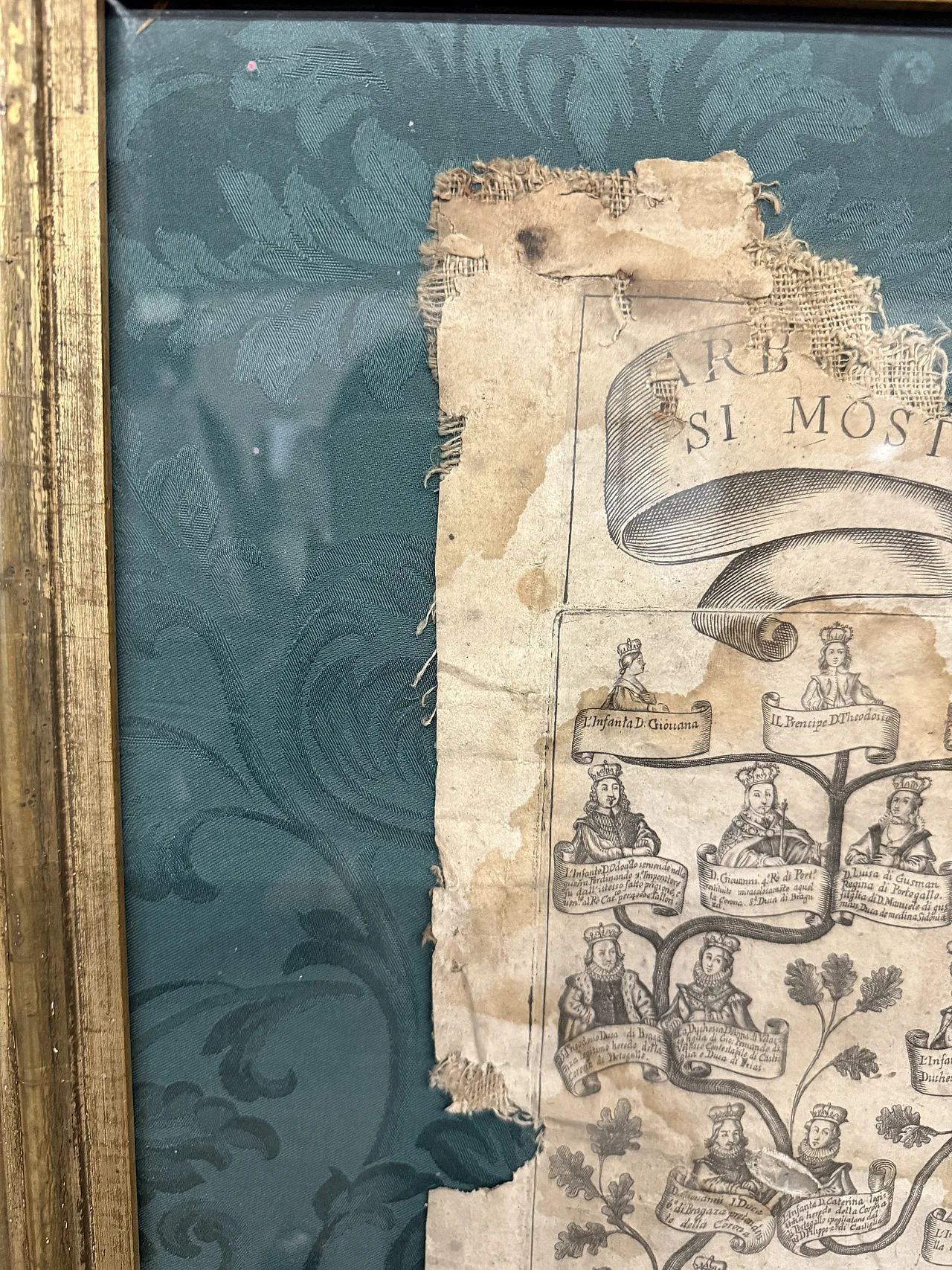 Engraving on canvas, Family tree of the King of Portugal, 16th century 4