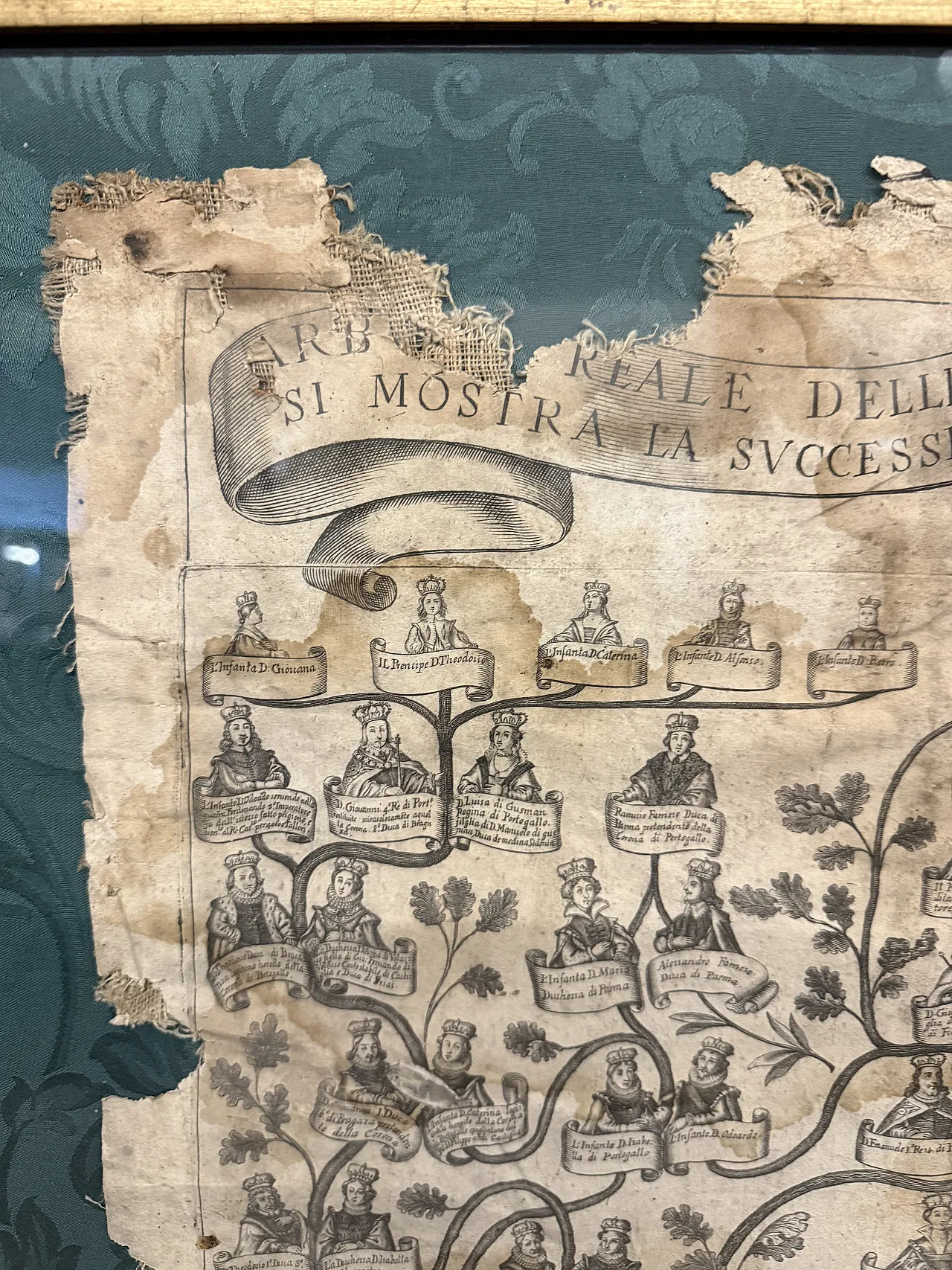 Engraving on canvas, Family tree of the King of Portugal, 16th century 5