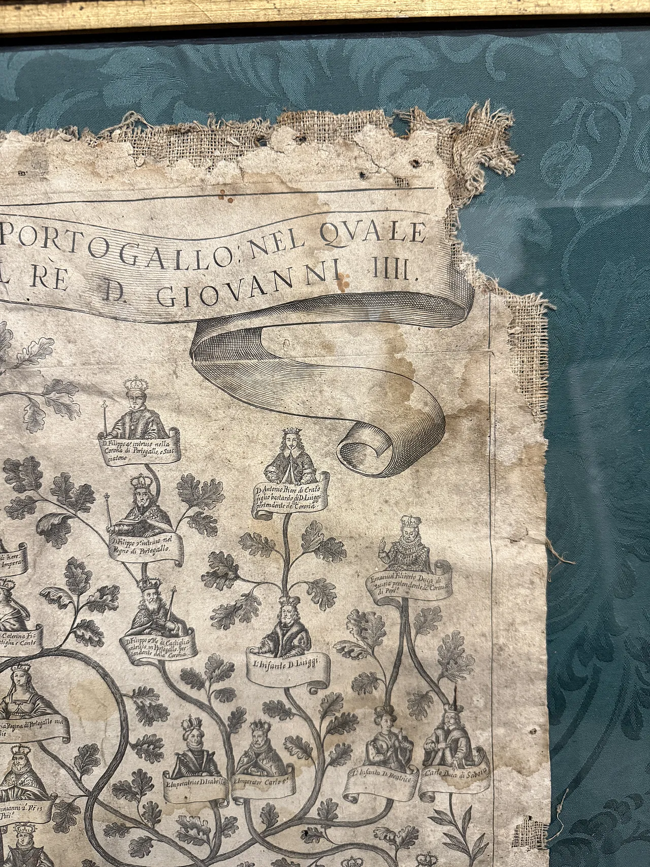 Engraving on canvas, Family tree of the King of Portugal, 16th century 7