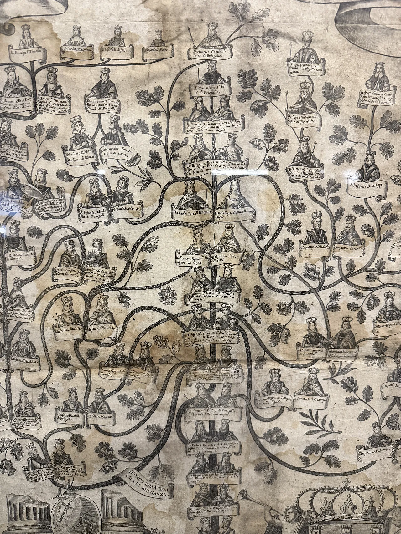 Engraving on canvas, Family tree of the King of Portugal, 16th century 8
