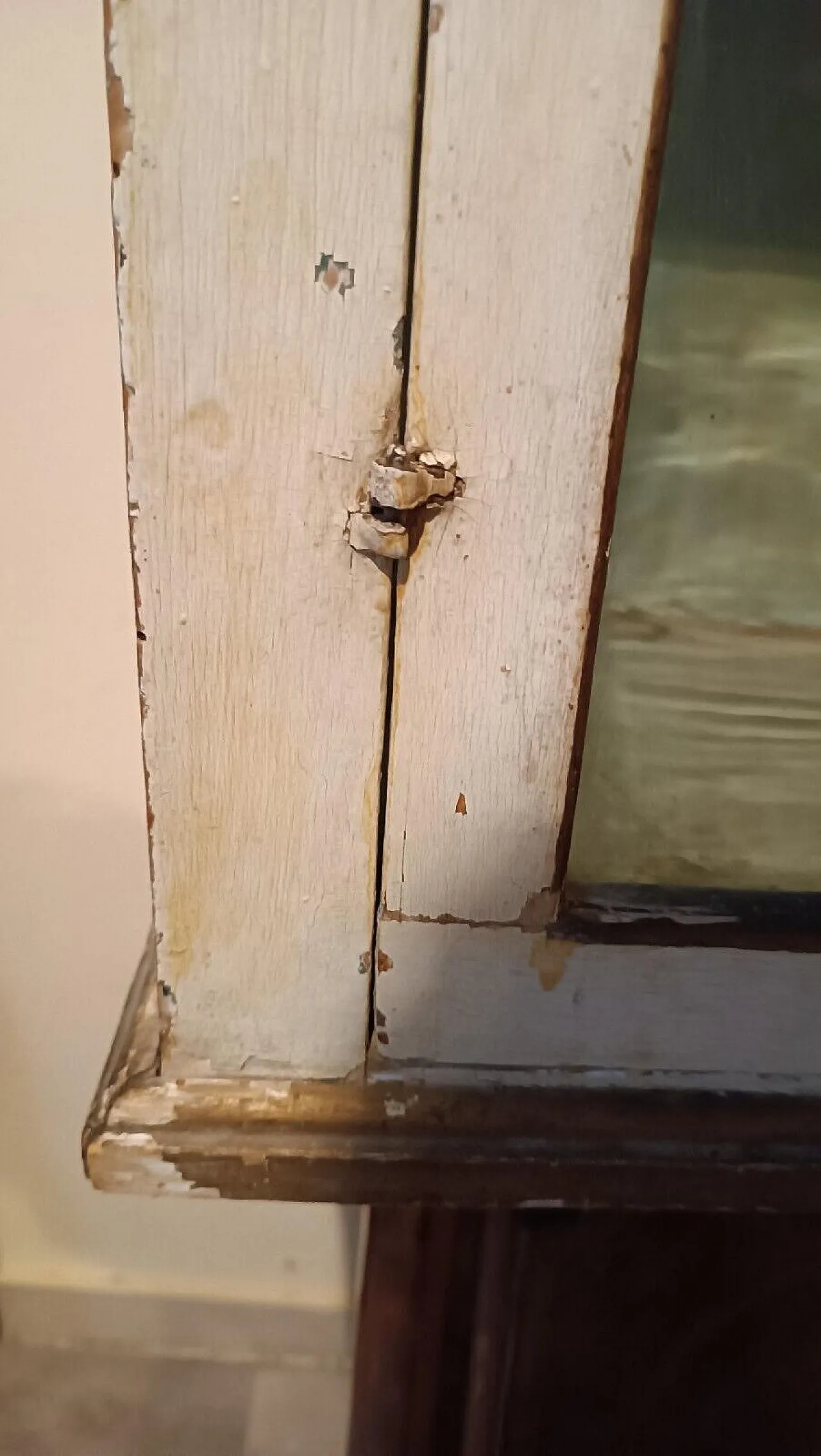 Vetrina in legno laccato e dorato, '800 8