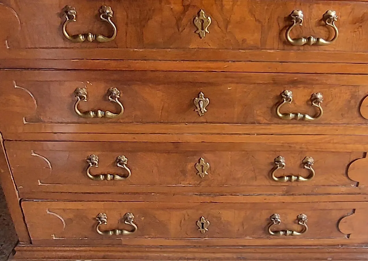 Walnut drawer, 17th Century 6