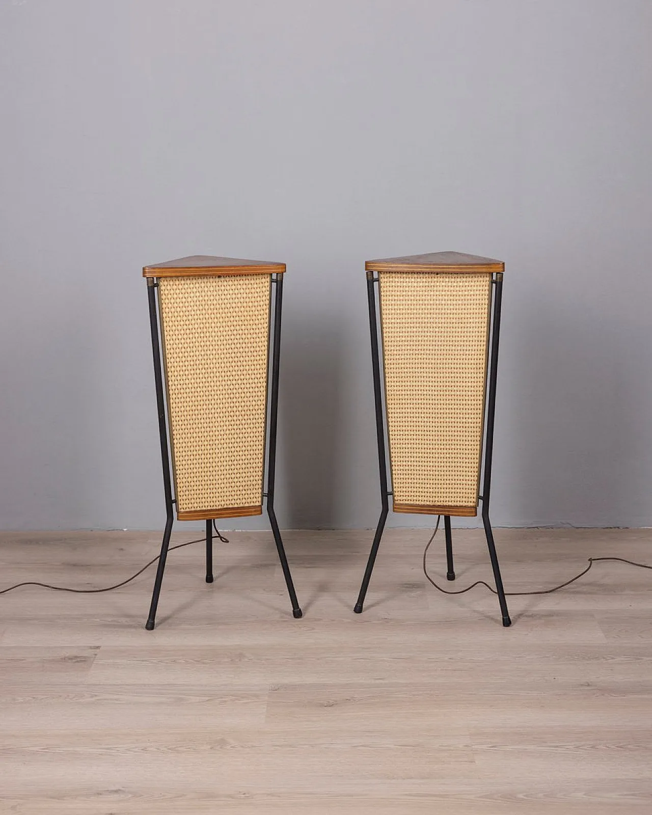 Pair of speakers by Schaub Lorenz, 1950s 1