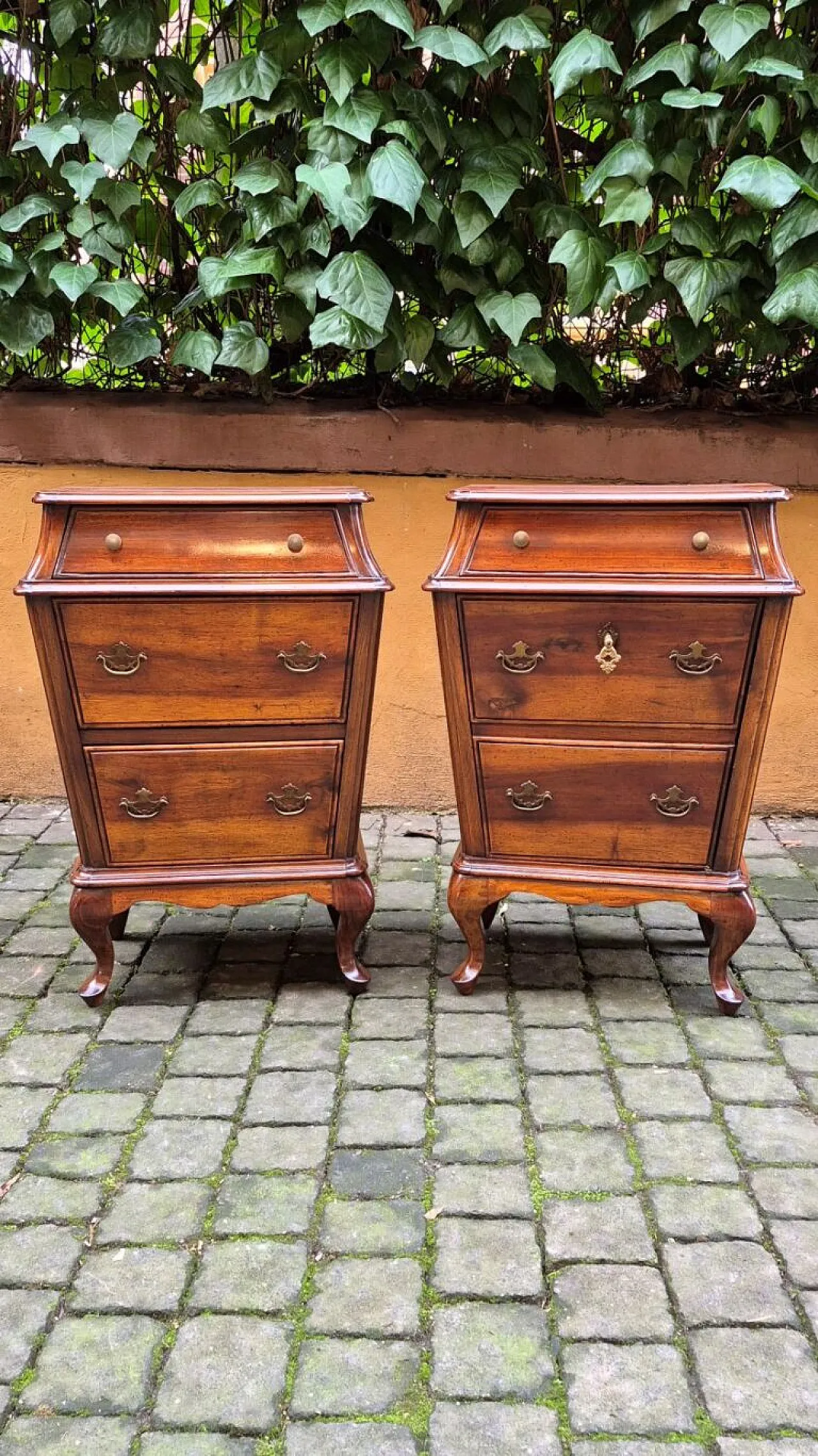 Pair of Venetian walnut urn bedside tables, late 19th century 11
