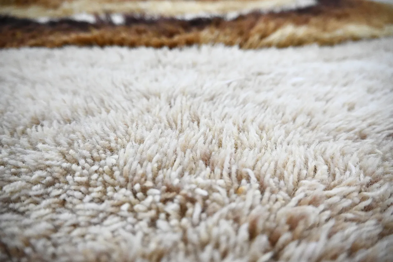 Tappeto a motivi italiani, anni '60 5