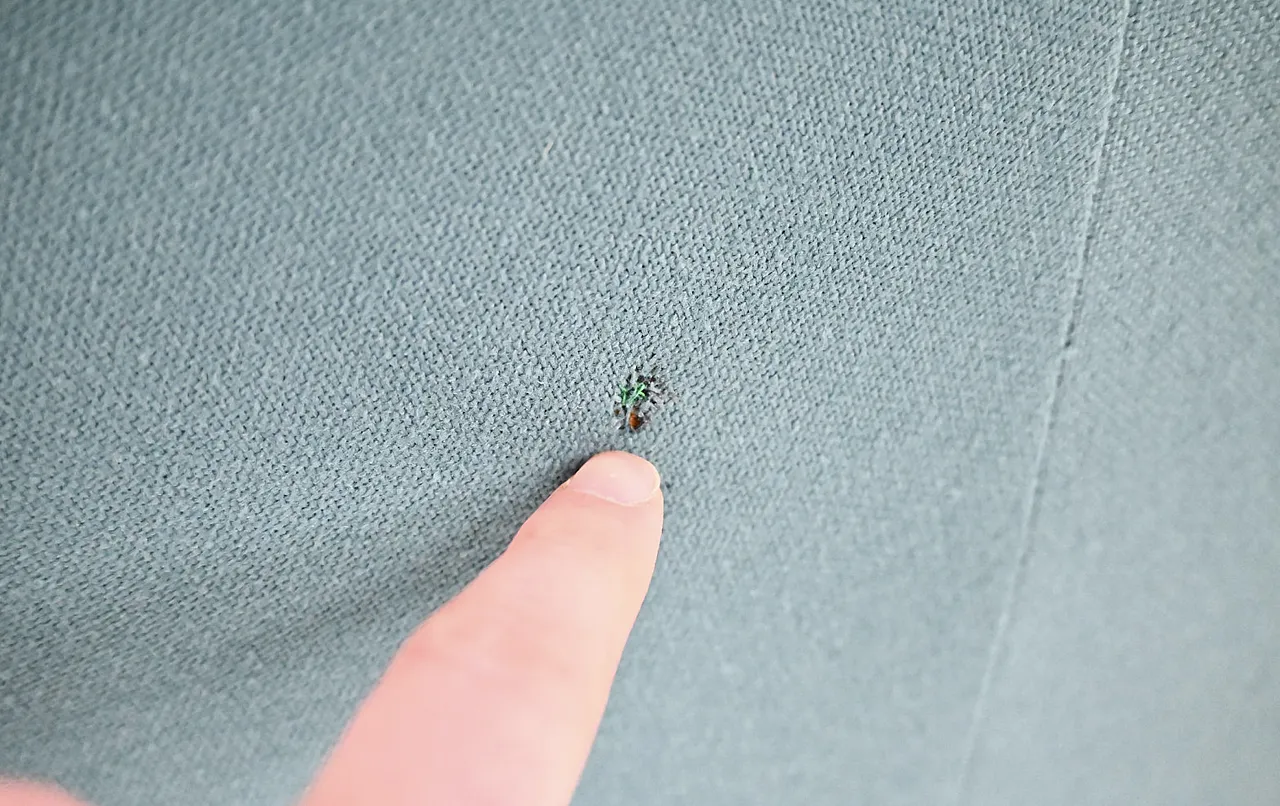 Alky Chairs and Table by Giancarlo Piretti for Anonima Castelli, 1970s 9