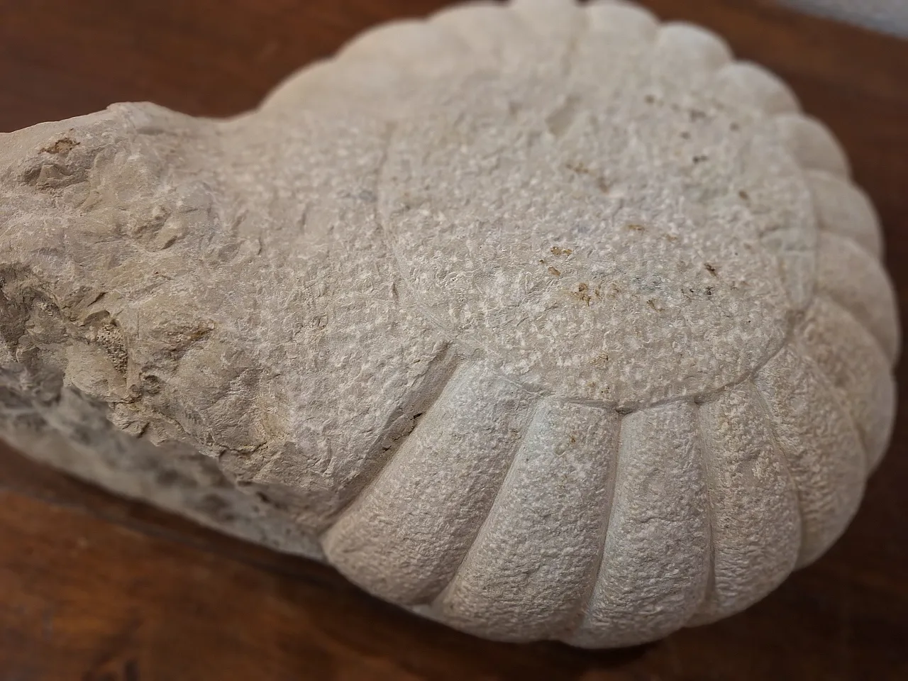 Marble wall stoup, 18th century 15