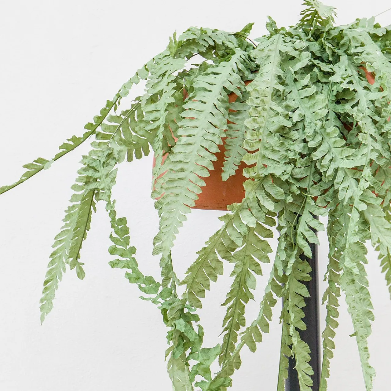 Lampada da terra Orca Virtuosa di Örni Halloween per Artemide, 1976 2