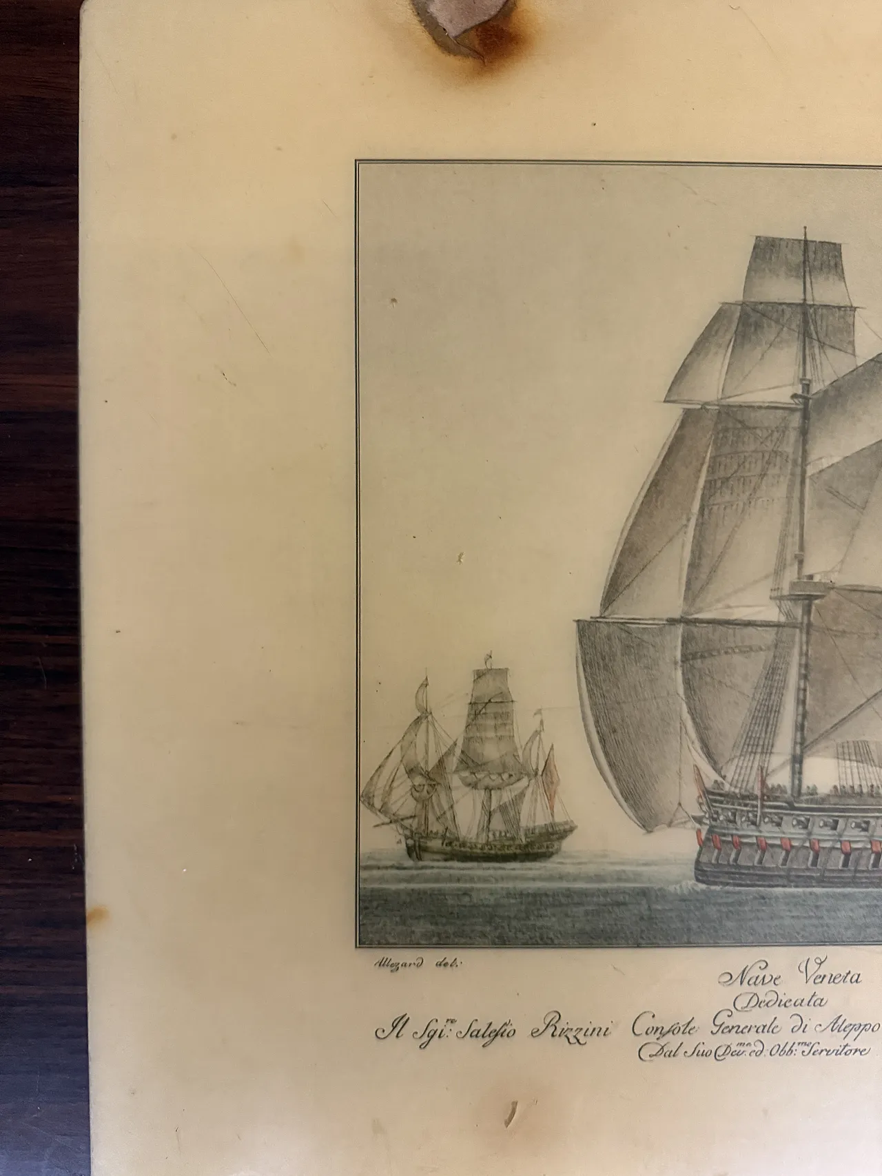 Mid century coffee table in bean-shaped walnut, 50s 5