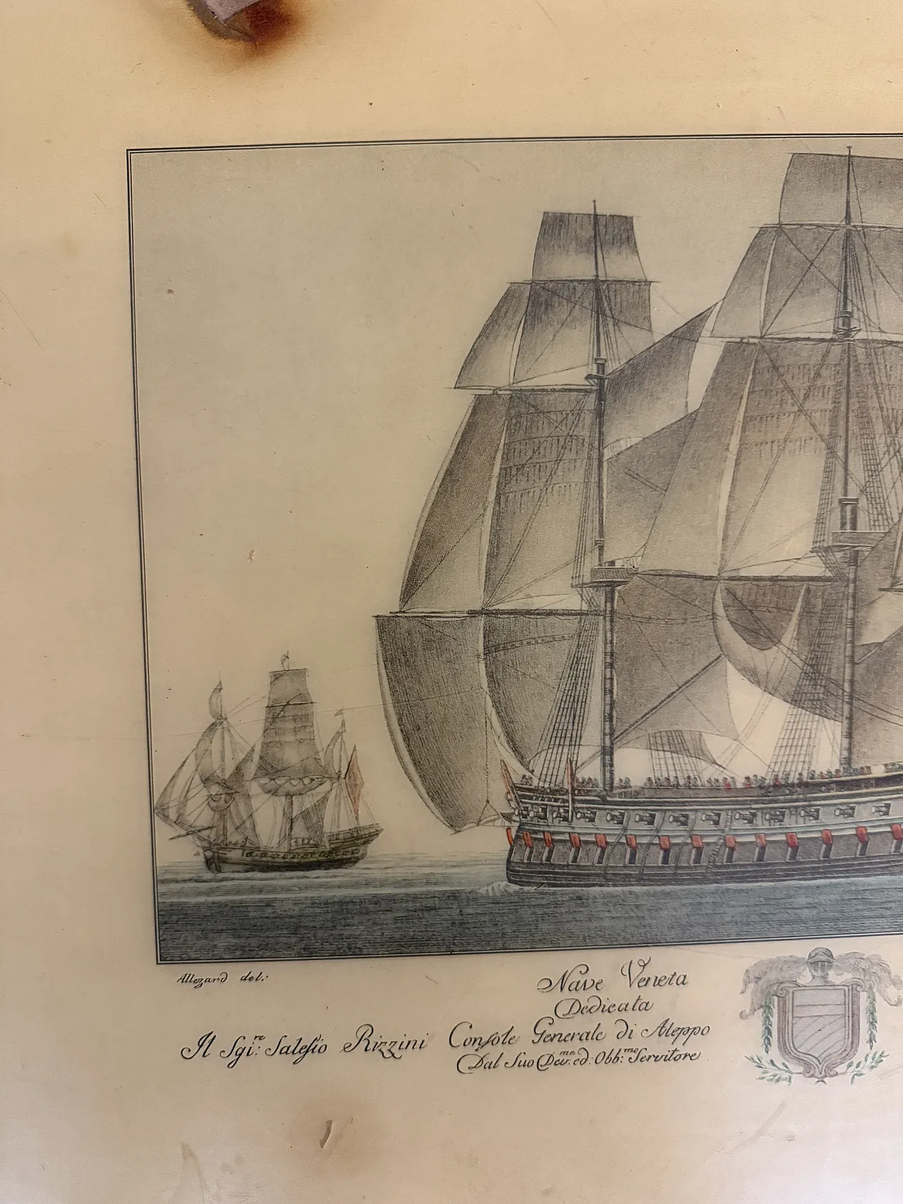 Mid century coffee table in bean-shaped walnut, 50s 6