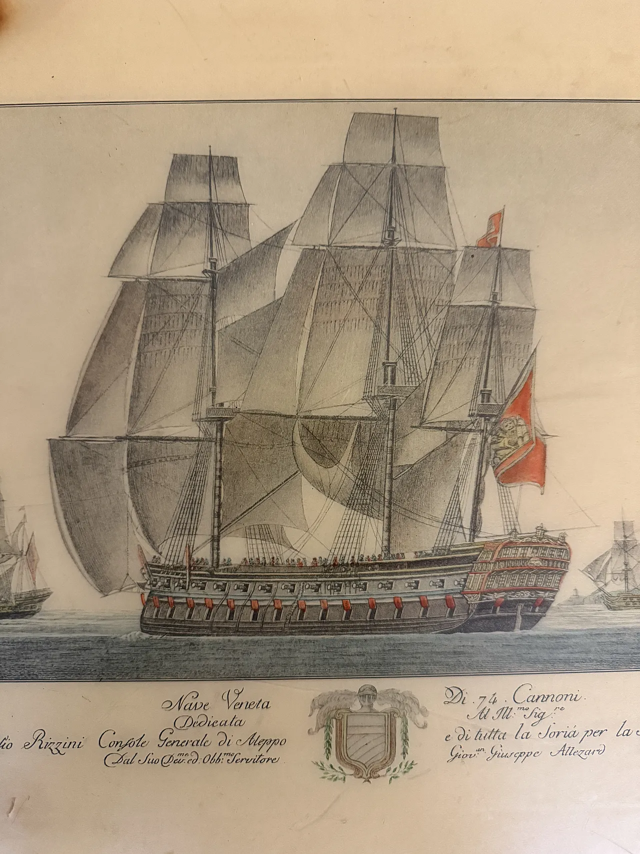 Mid century coffee table in bean-shaped walnut, 50s 7