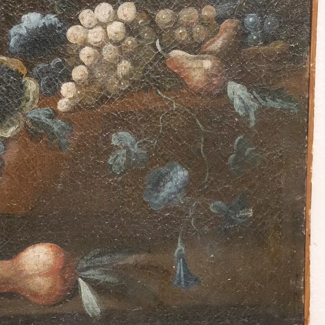 Natura morta olio su tela, '700 5