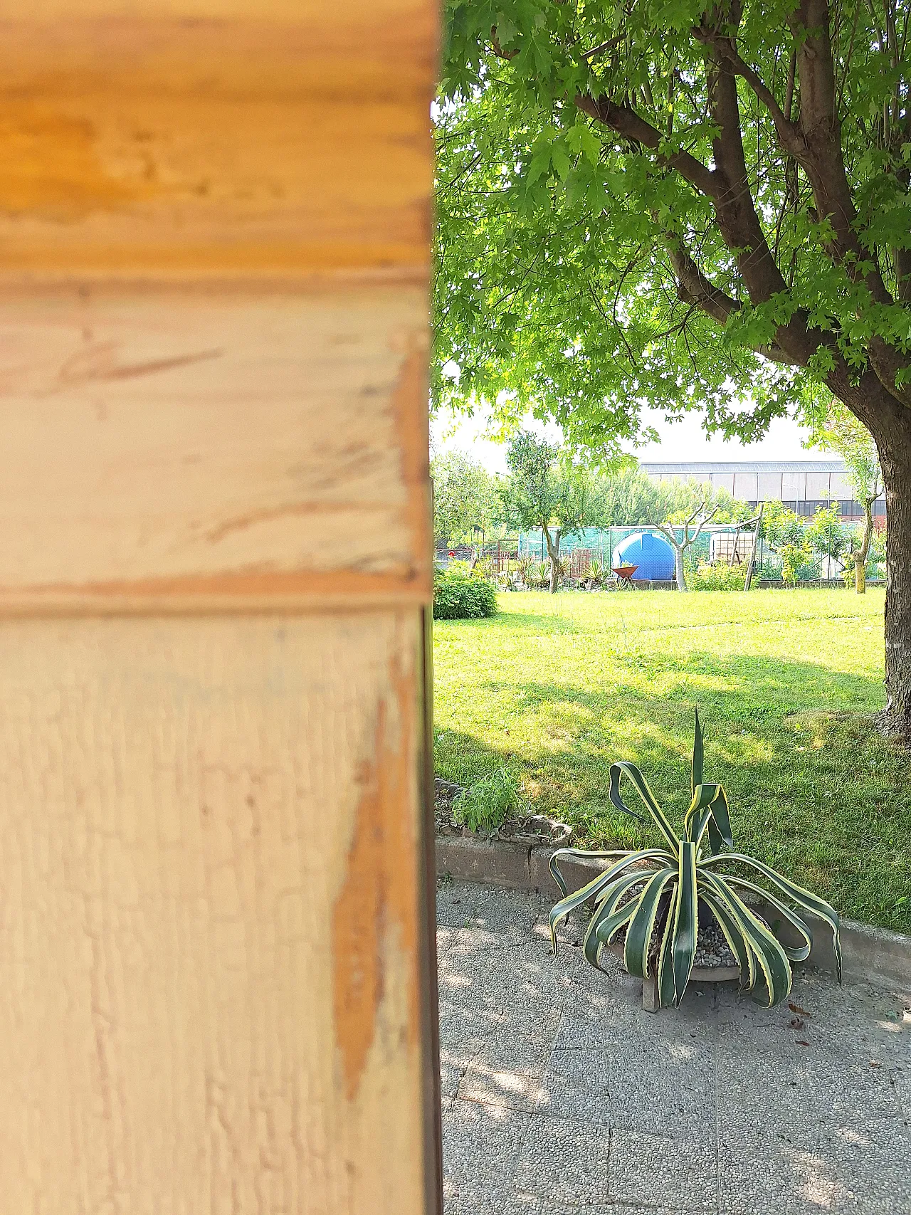 Austrian painted wardrobe with polychrome decorations,  19th century 4