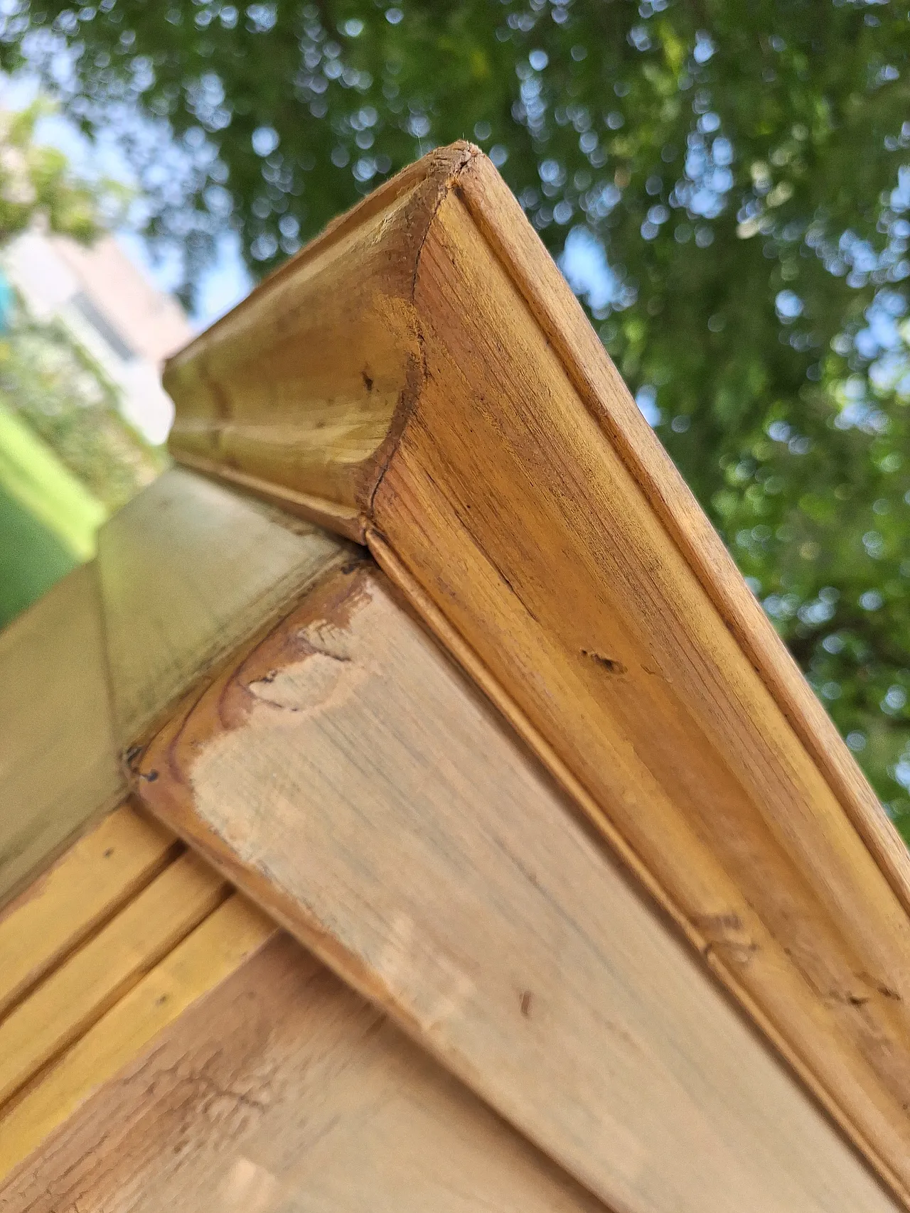 Austrian painted wardrobe with polychrome decorations,  19th century 13