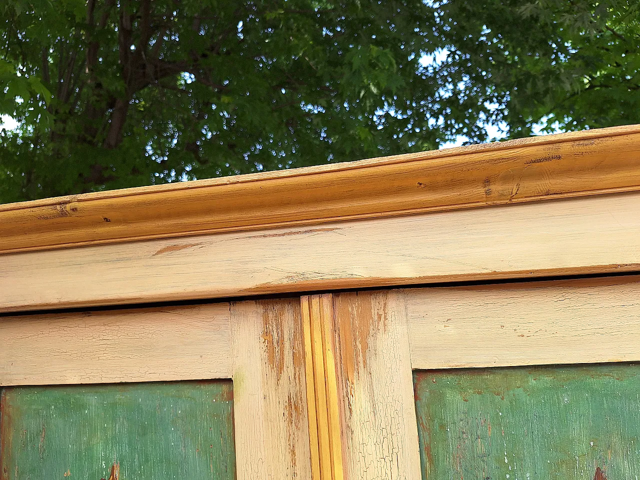 Austrian painted wardrobe with polychrome decorations,  19th century 15
