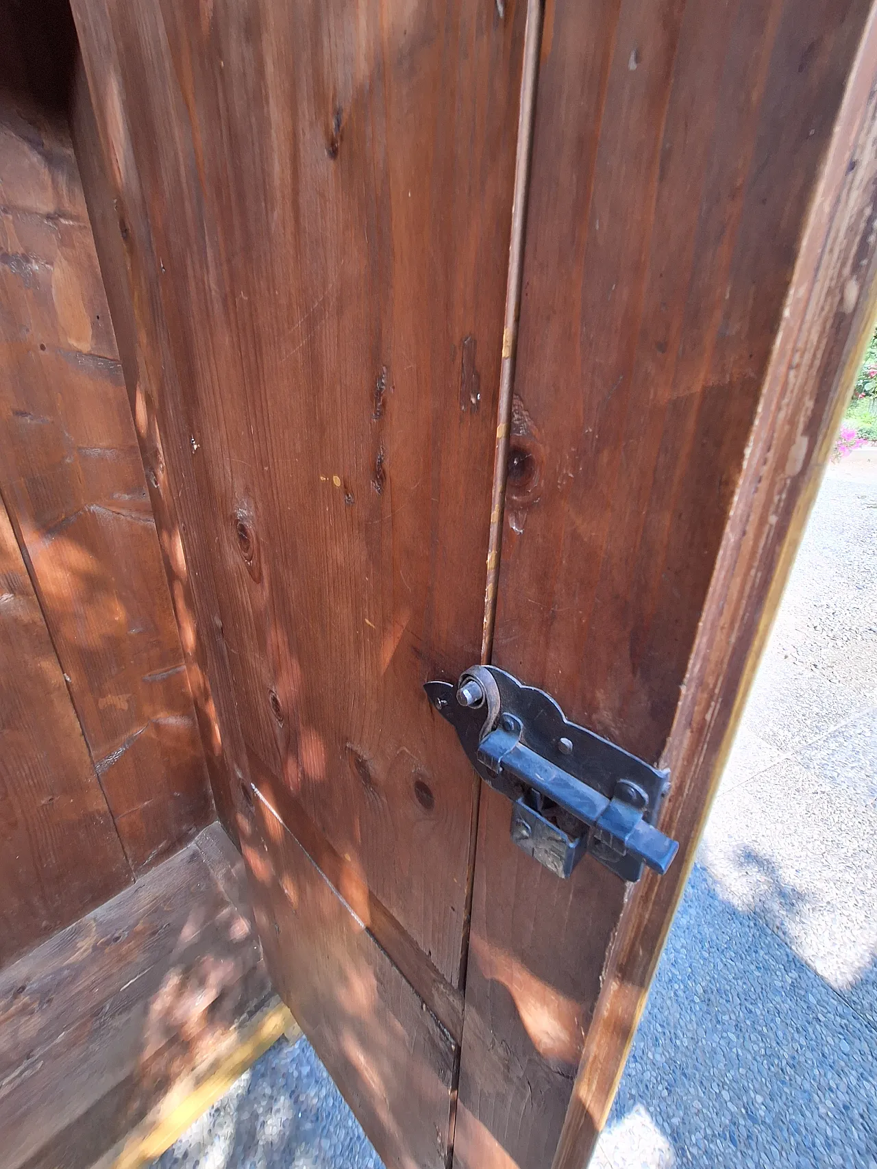 Austrian painted wardrobe with polychrome decorations,  19th century 26