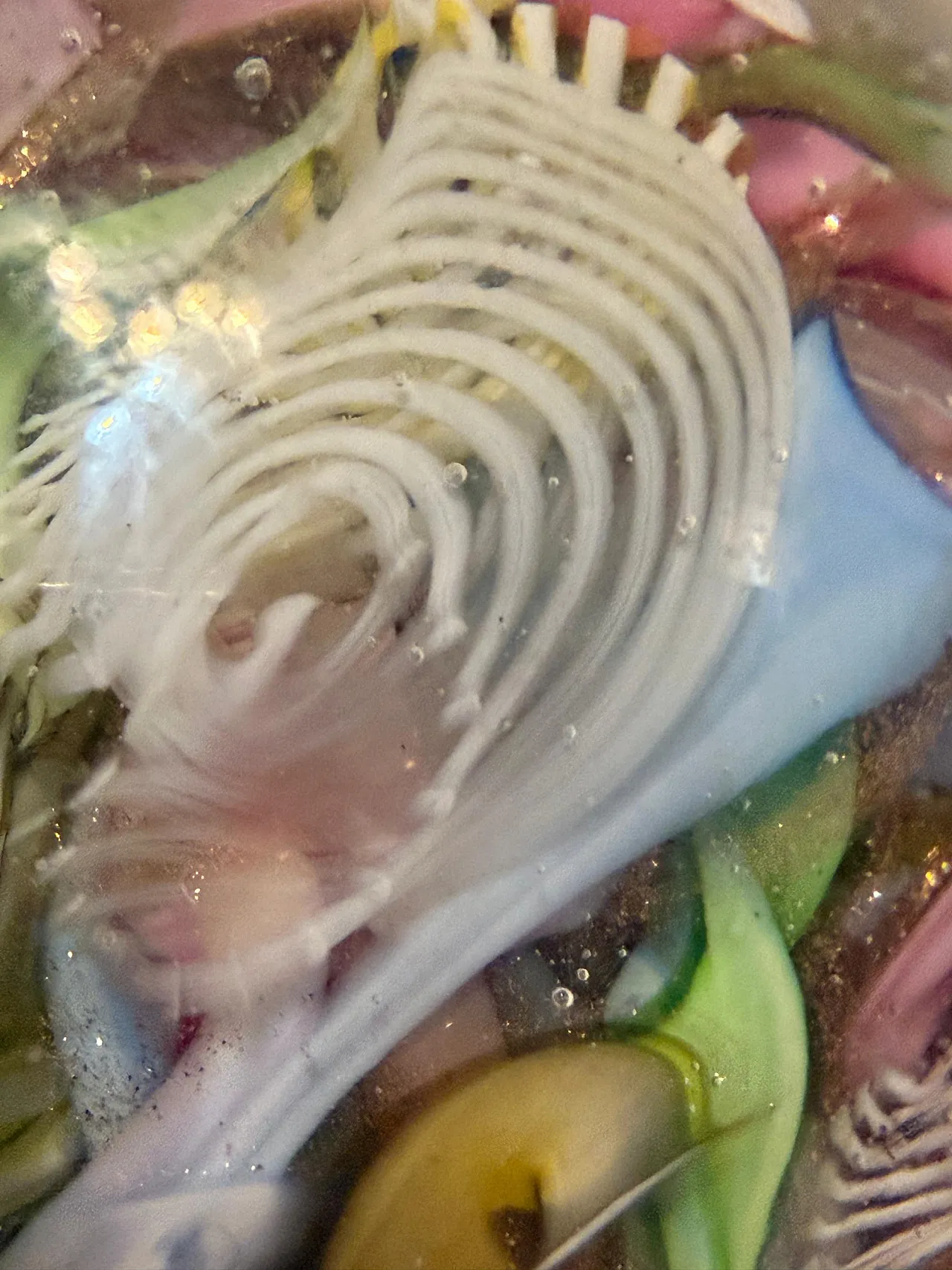 Murano Glass Tutti Frutti Paperweight by Avem, 1960s 7