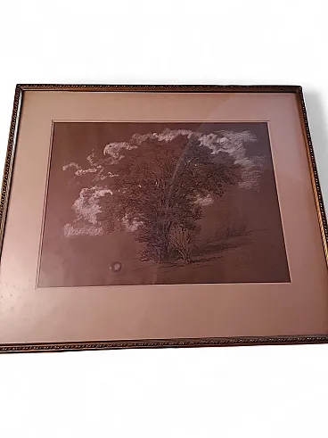 Landscape painting with tree, 1884