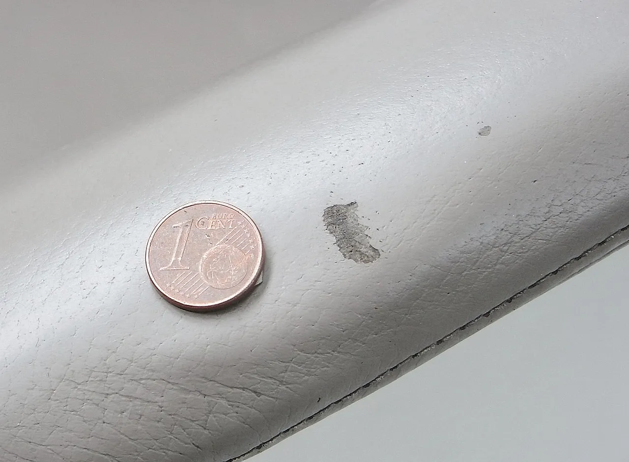 Pair of Sina Armchairs by Uwe Fischer for B&B Italia, 2004 11