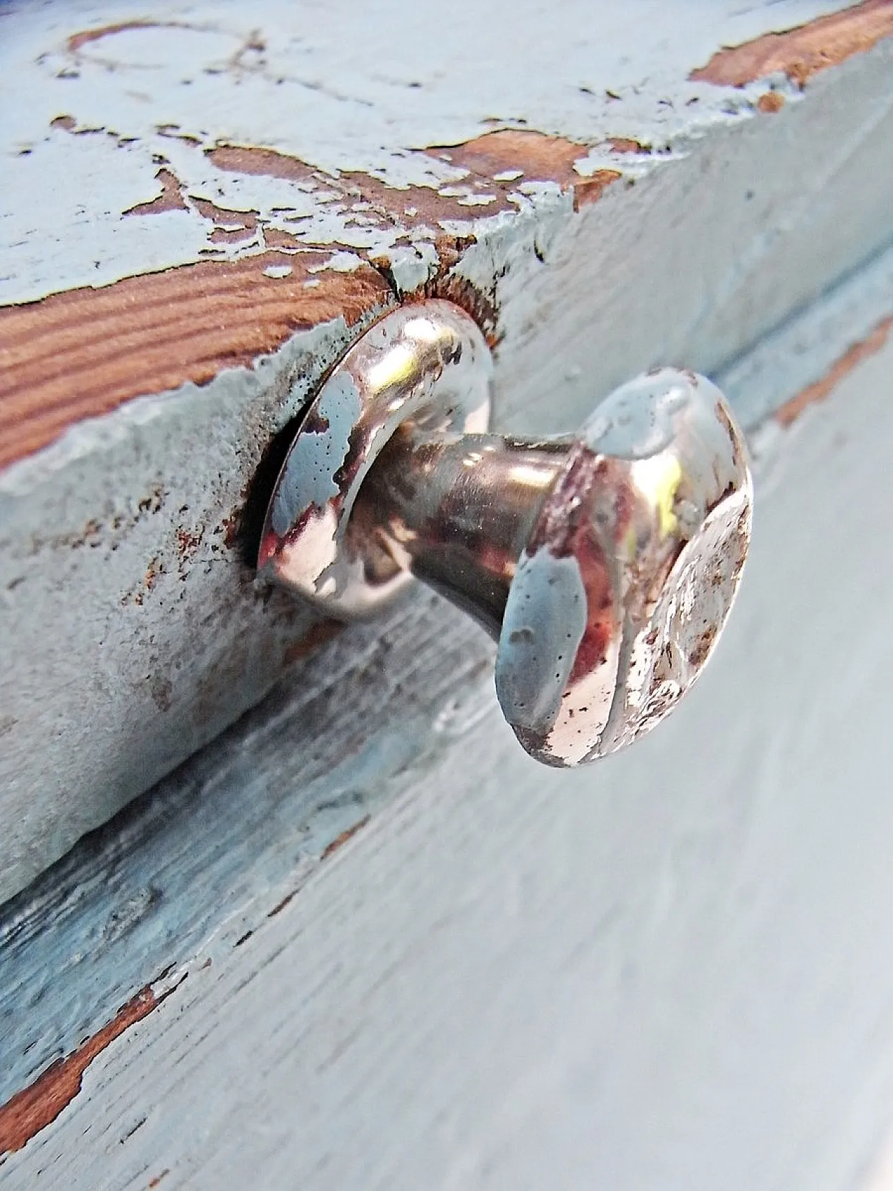 Blue trunk in softwood with cord handles, 20th century 13