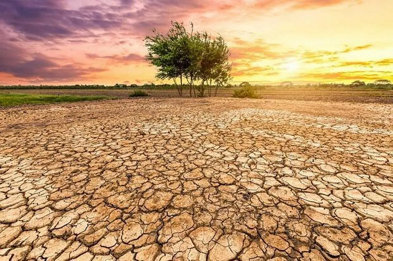 Art Deco white ceramic vase, Raku technique, 20th century 17