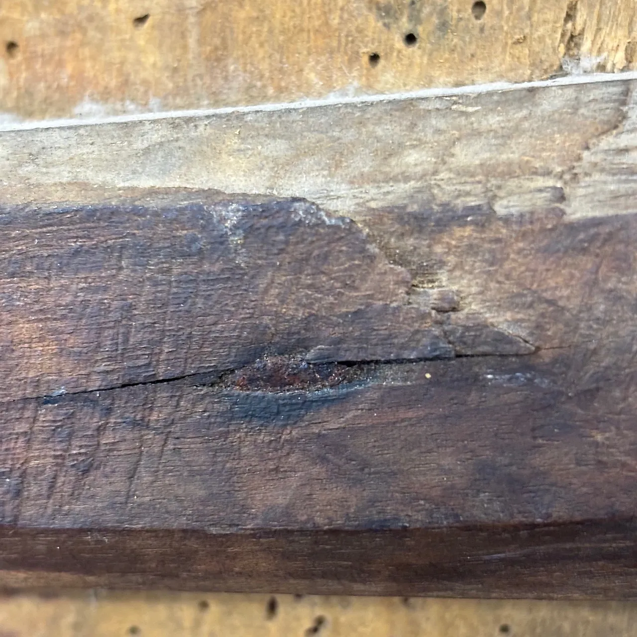 Icon, painted on panel, large Orthodox, 19th century 13