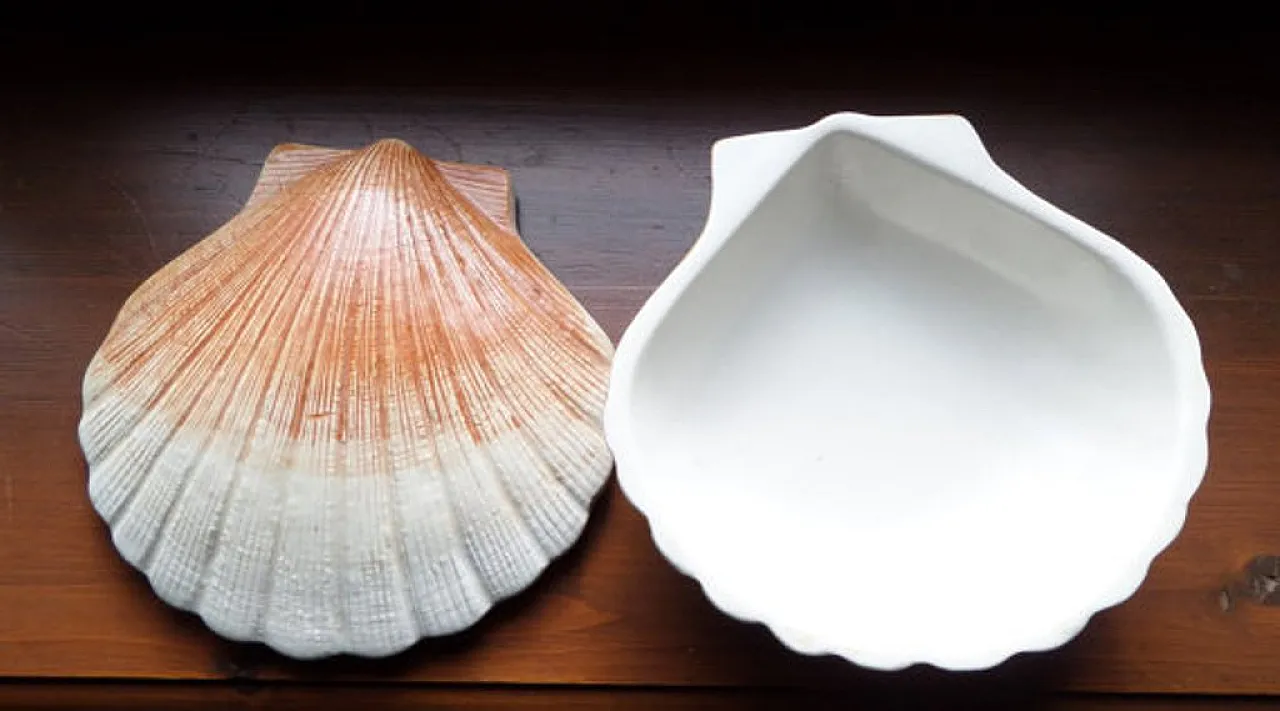 Scallop Shell Lidded Box in Faience, Beige and light brown, 70s 2