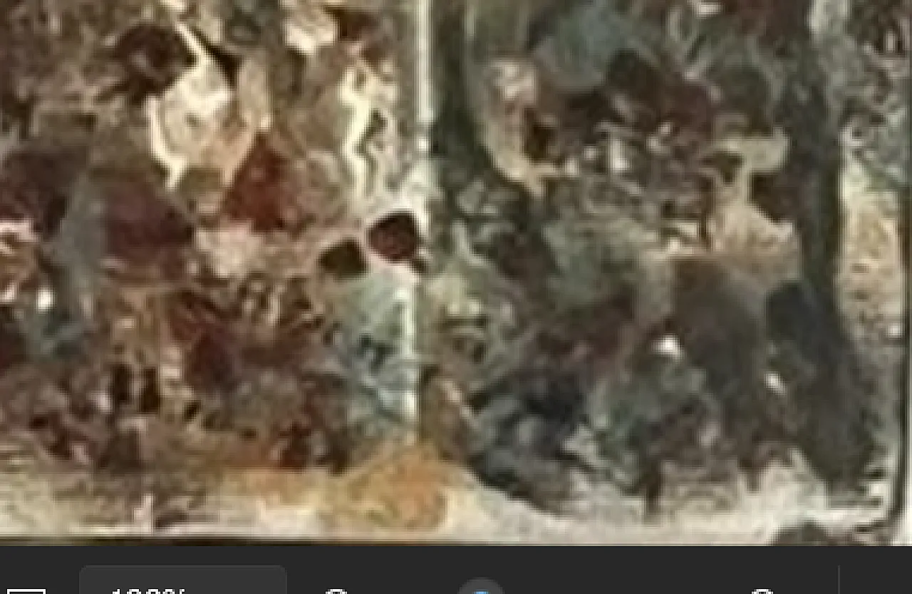 Olio su tela Viti a Tendone di Rachele Bruna De Filippis, anni '90 7