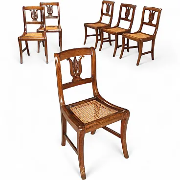 6 Sedie in noce e paglia di Vienna, metà '800