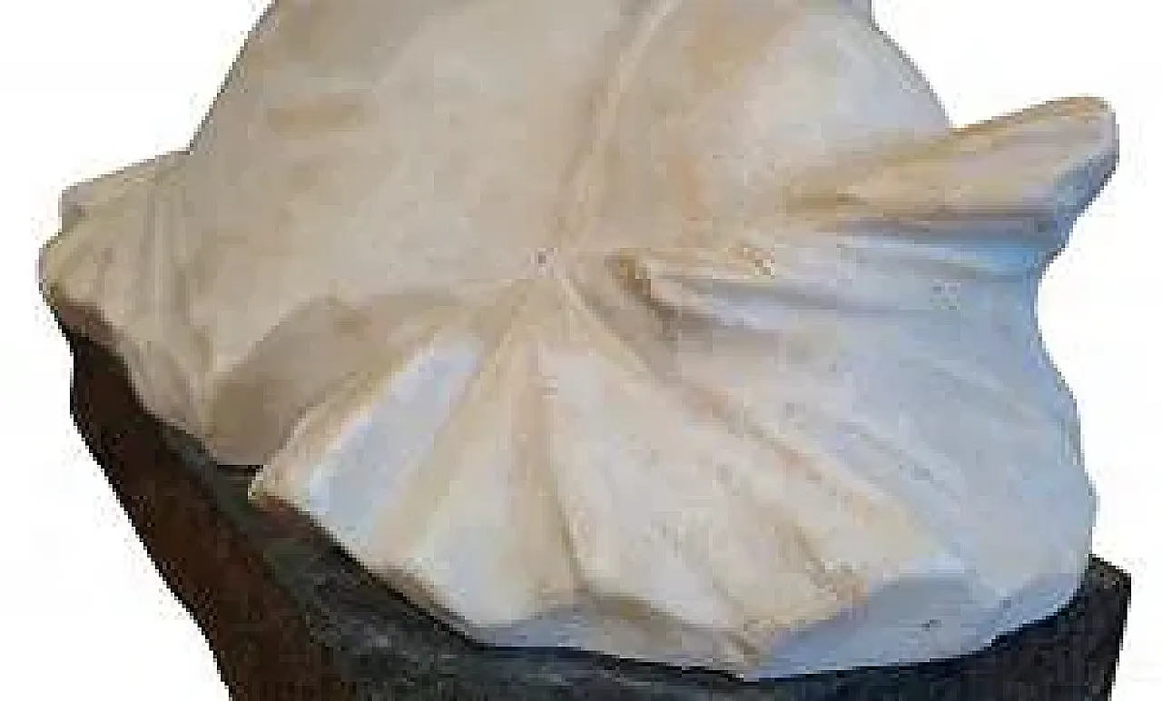 Bust of a Young Girl by A. Frilli, 19th century 7