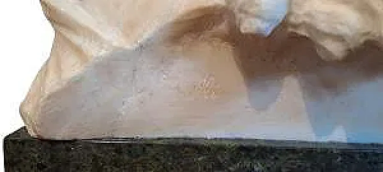 Bust of a Young Girl by A. Frilli, 19th century 10