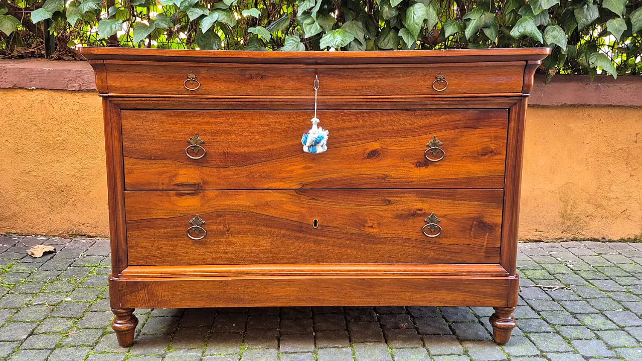 Capuchin chest of drawers in walnut, 19th century 1