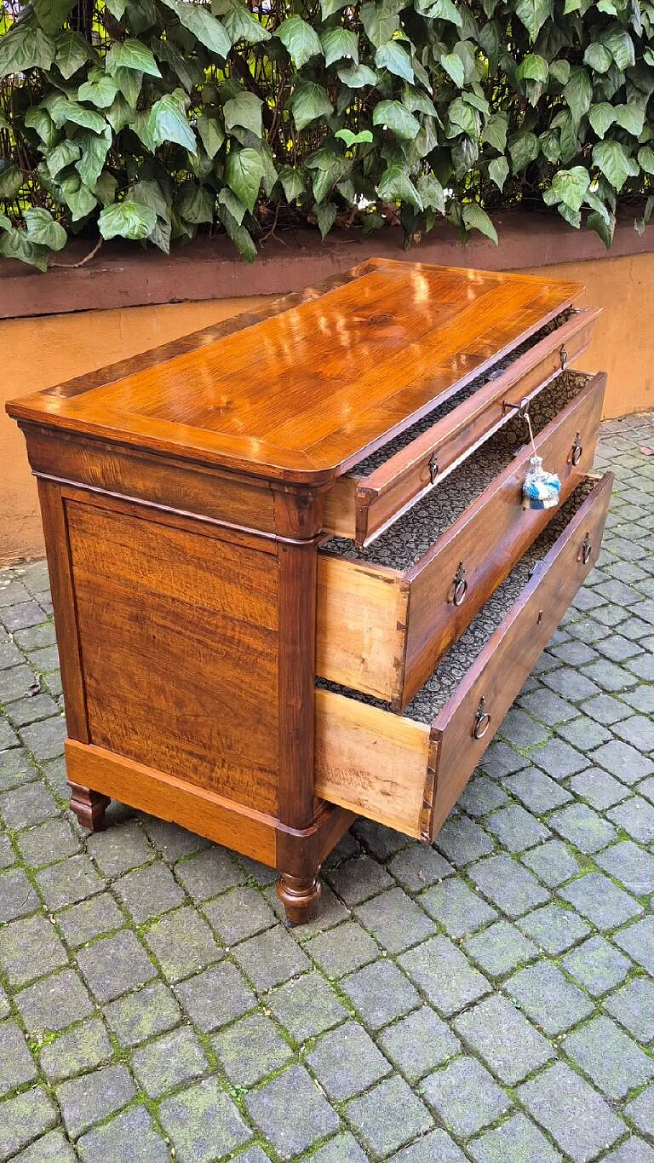 Capuchin chest of drawers in walnut, 19th century 3