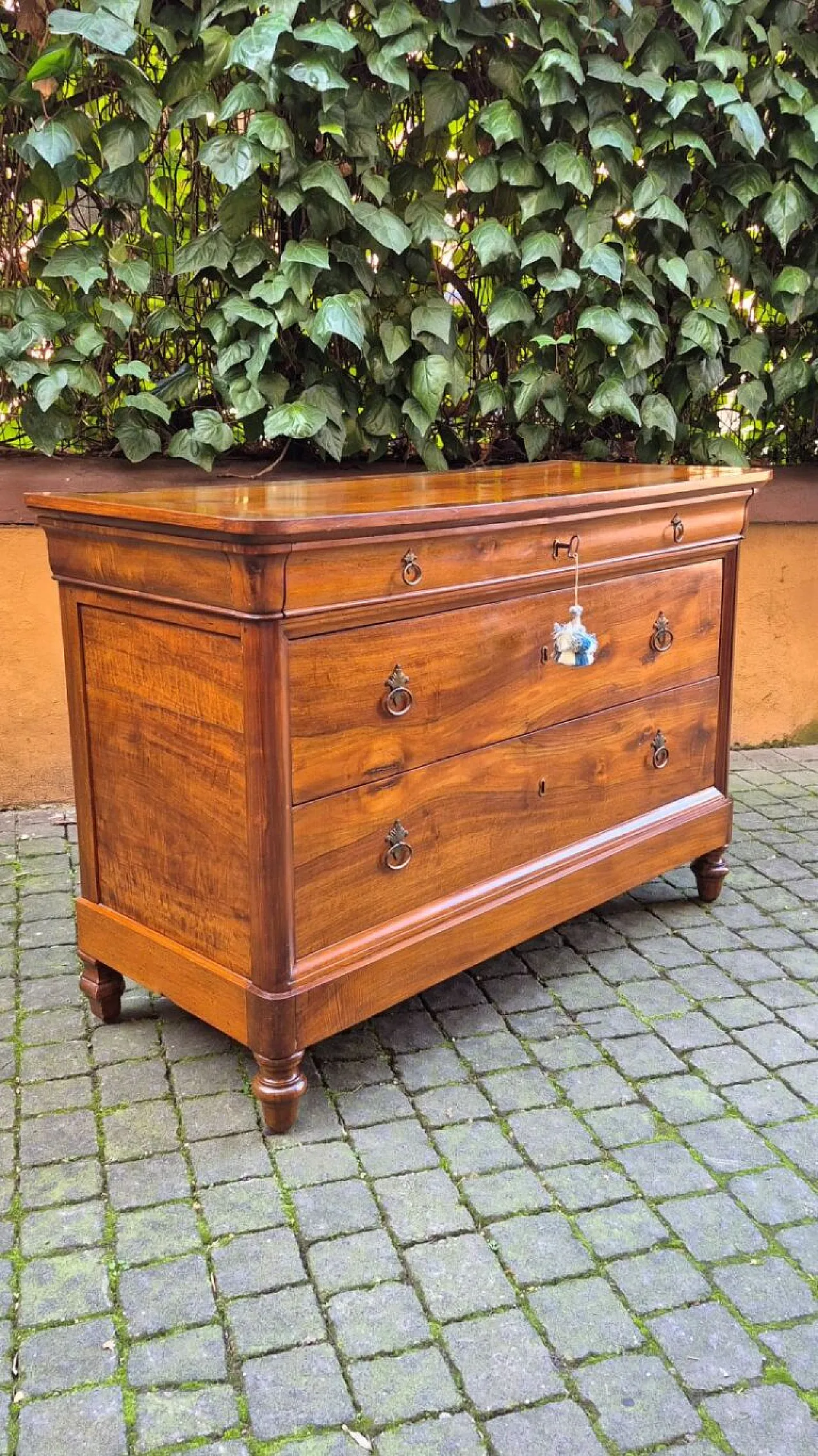 Capuchin chest of drawers in walnut, 19th century 4