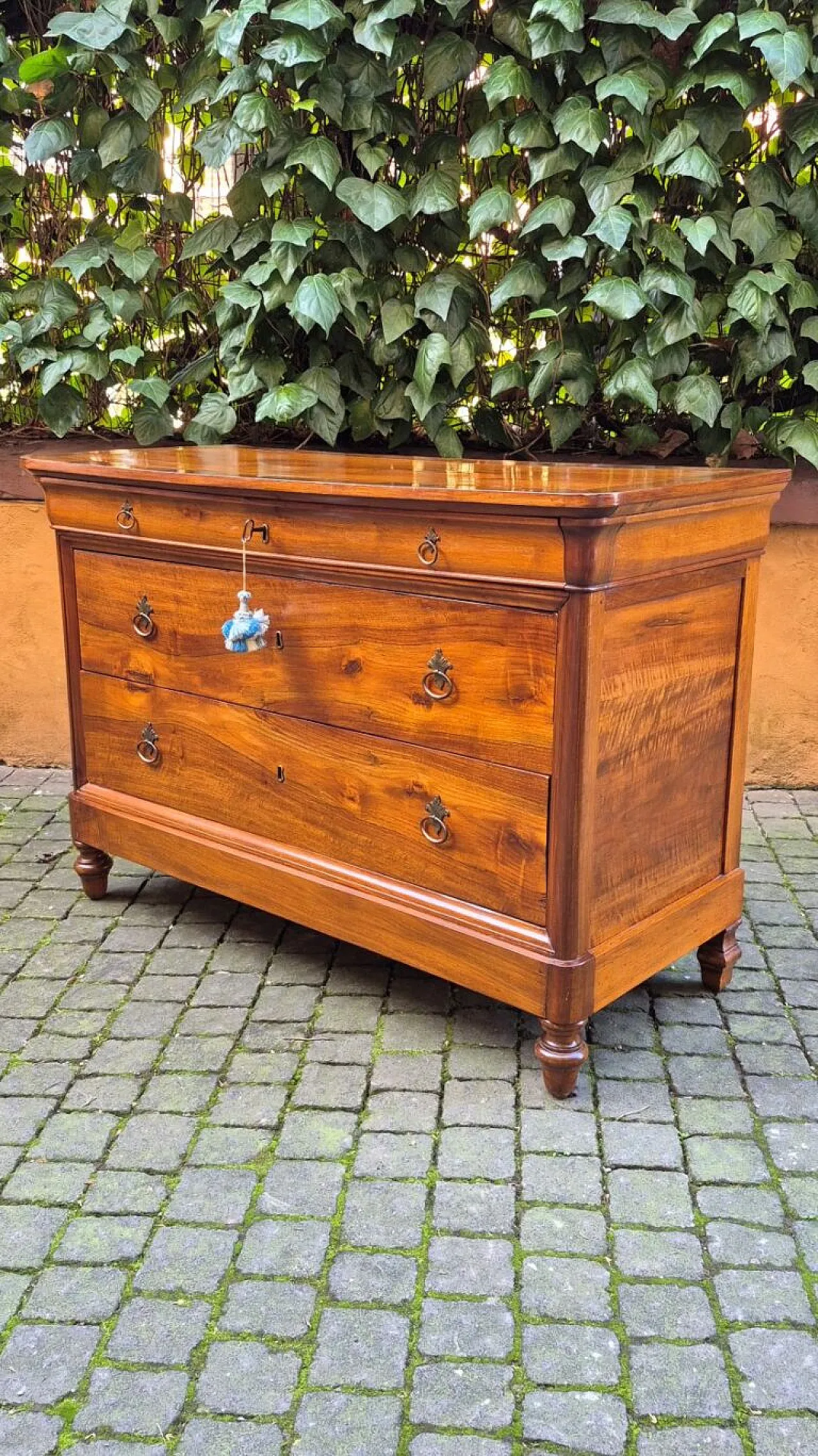 Capuchin chest of drawers in walnut, 19th century 5