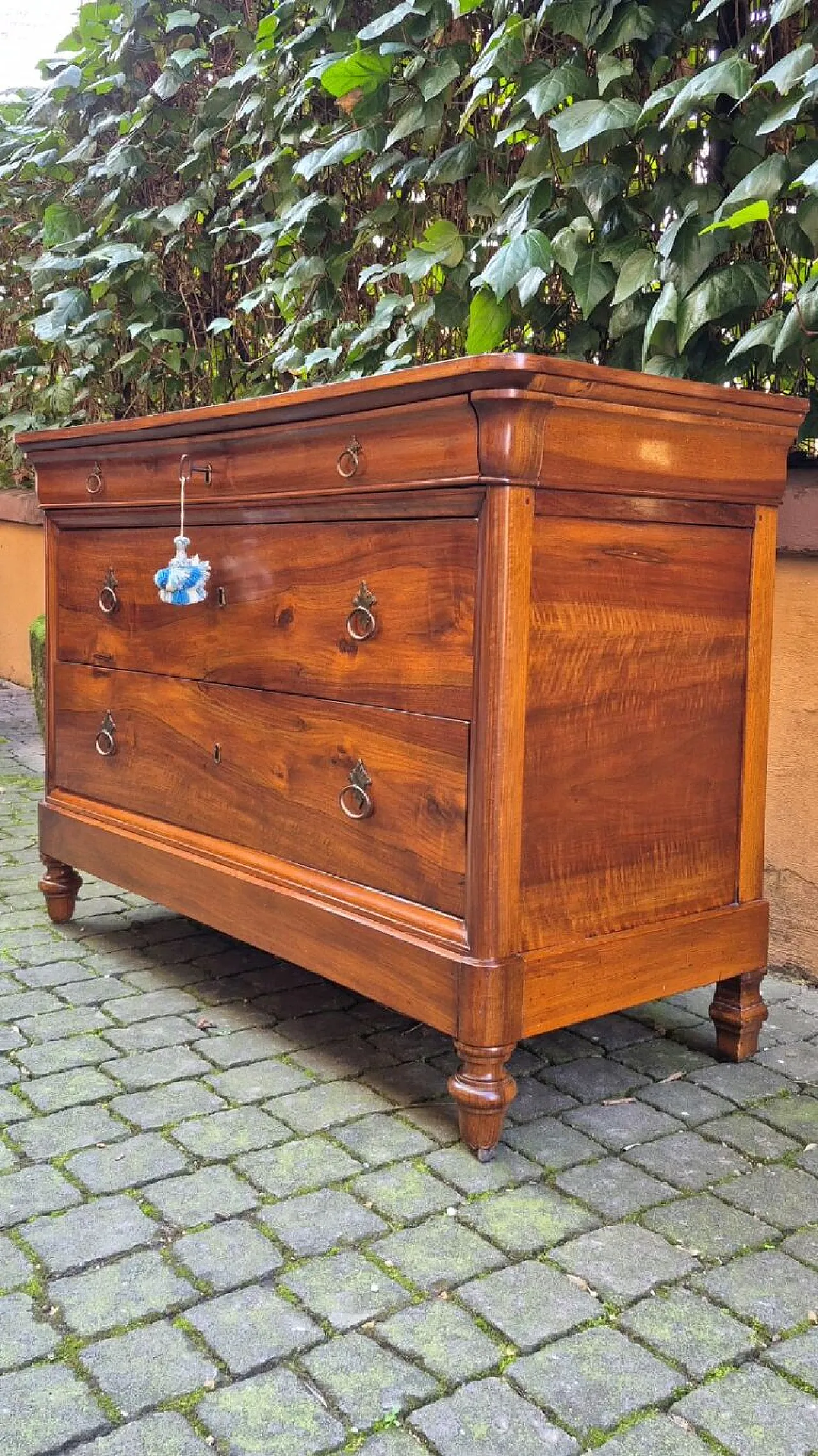 Capuchin chest of drawers in walnut, 19th century 7