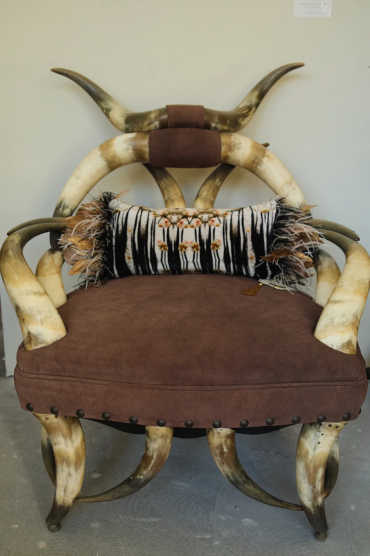 Decorative cushion with feather trim 2