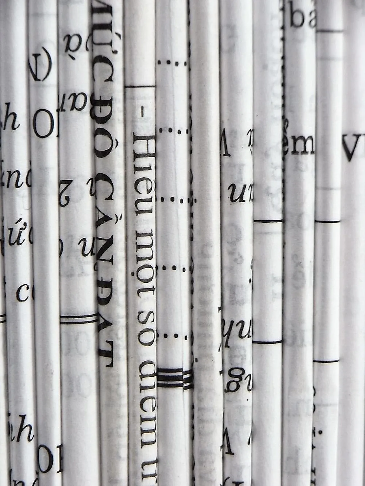 Cestino per la carta di Gunter Lambert, '900 2