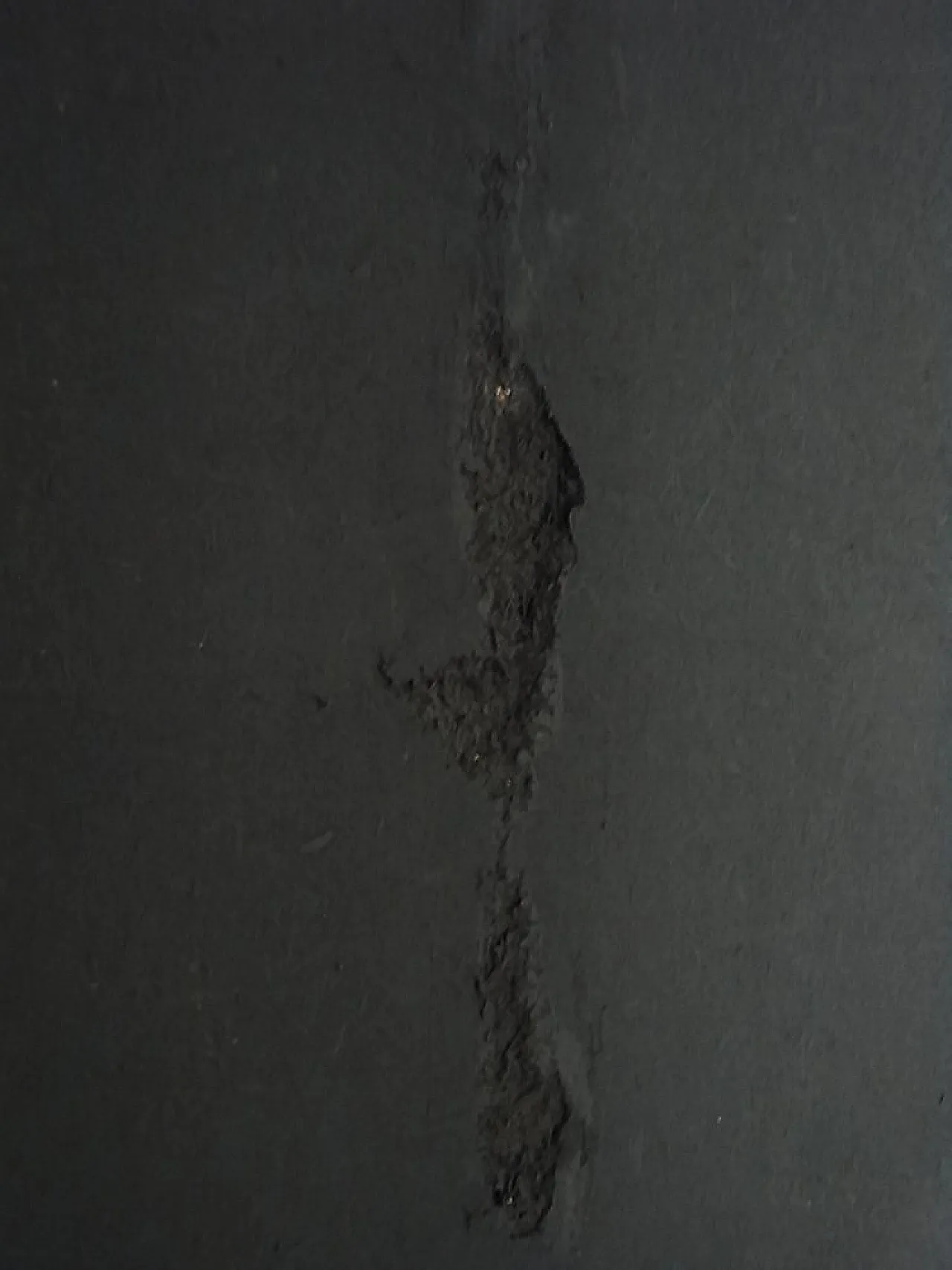 Specchio Grand Suite in macassar, seta e ottone, anni '60 22