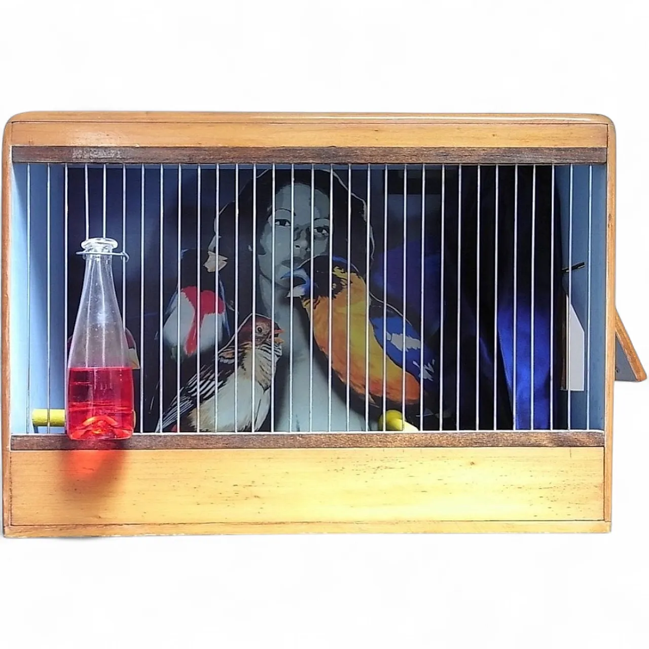 Gabbia per uccelli in legno e metallo, anni 2000 5