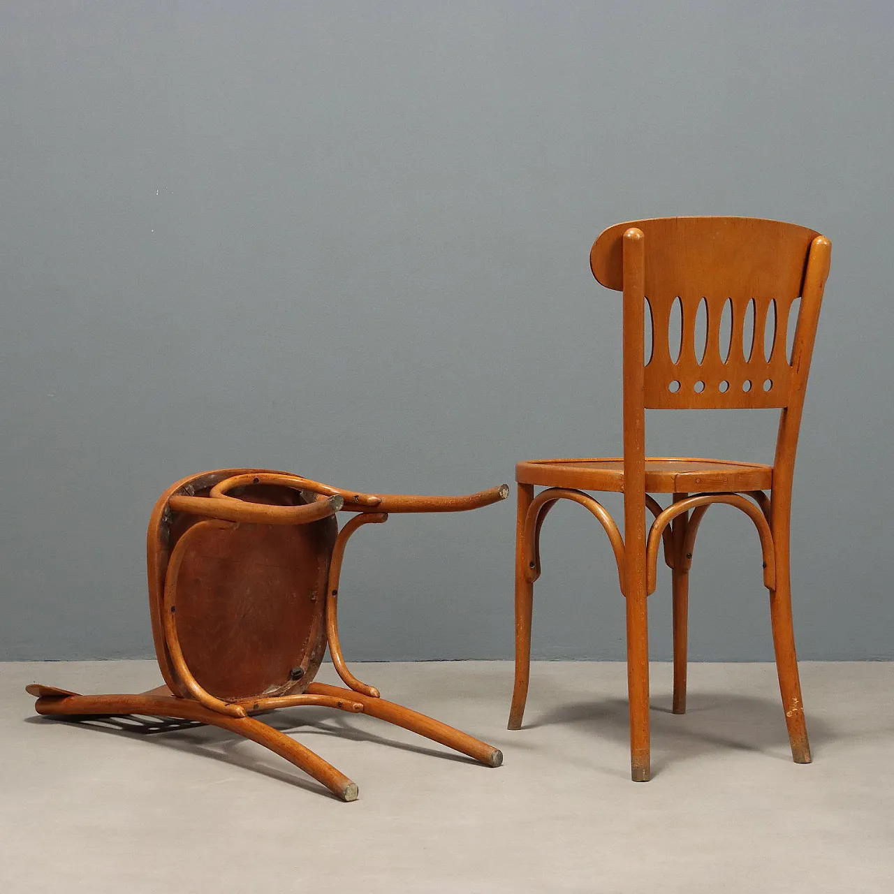 Coppia di sedie in faggio curvato con schienali traforati, '900 9