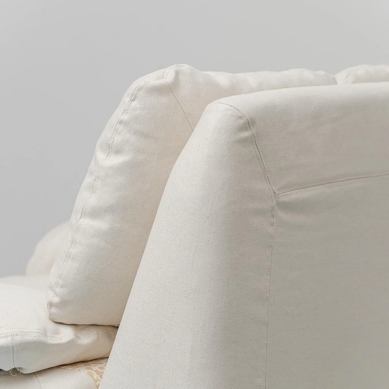 Pair of Bonheur armchairs by Ammannati and Vitelli for Brunati, 1970s 3