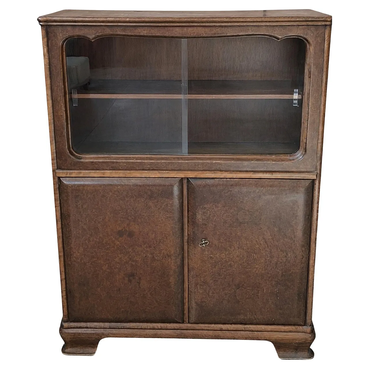 Mid-Century burl window display, mid-20th century 1