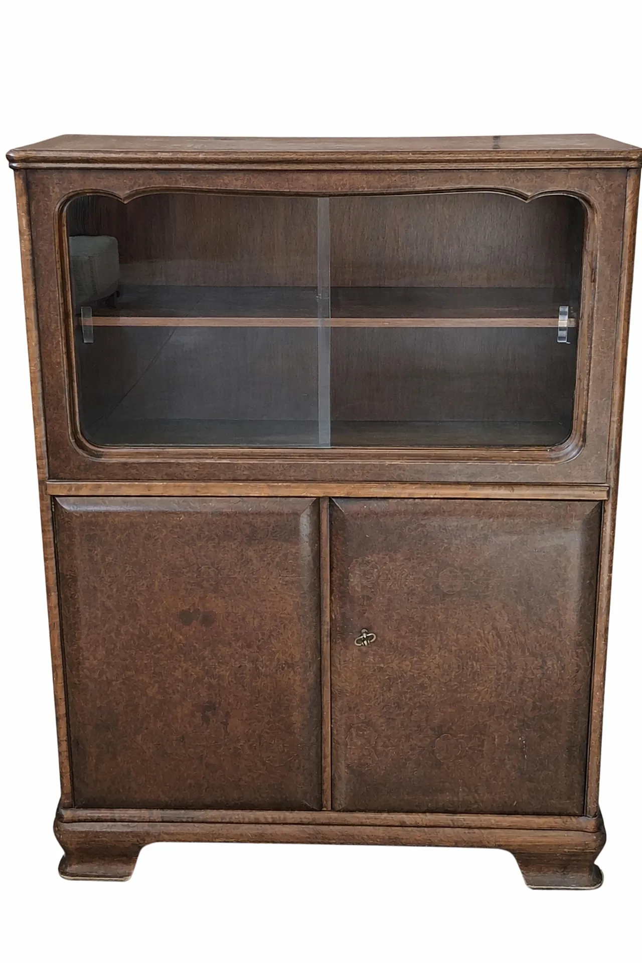 Mid-Century burl window display, mid-20th century 4