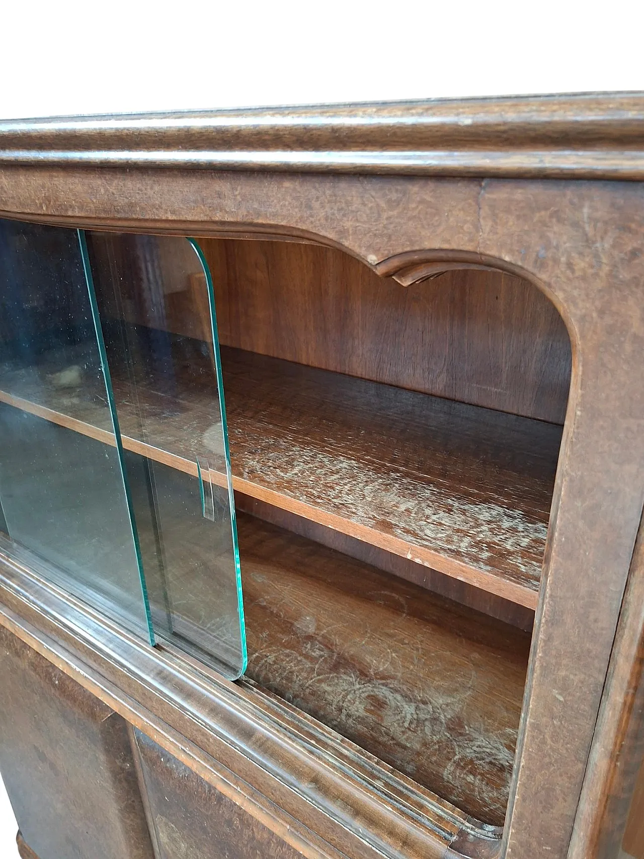 Mid-Century burl window display, mid-20th century 11