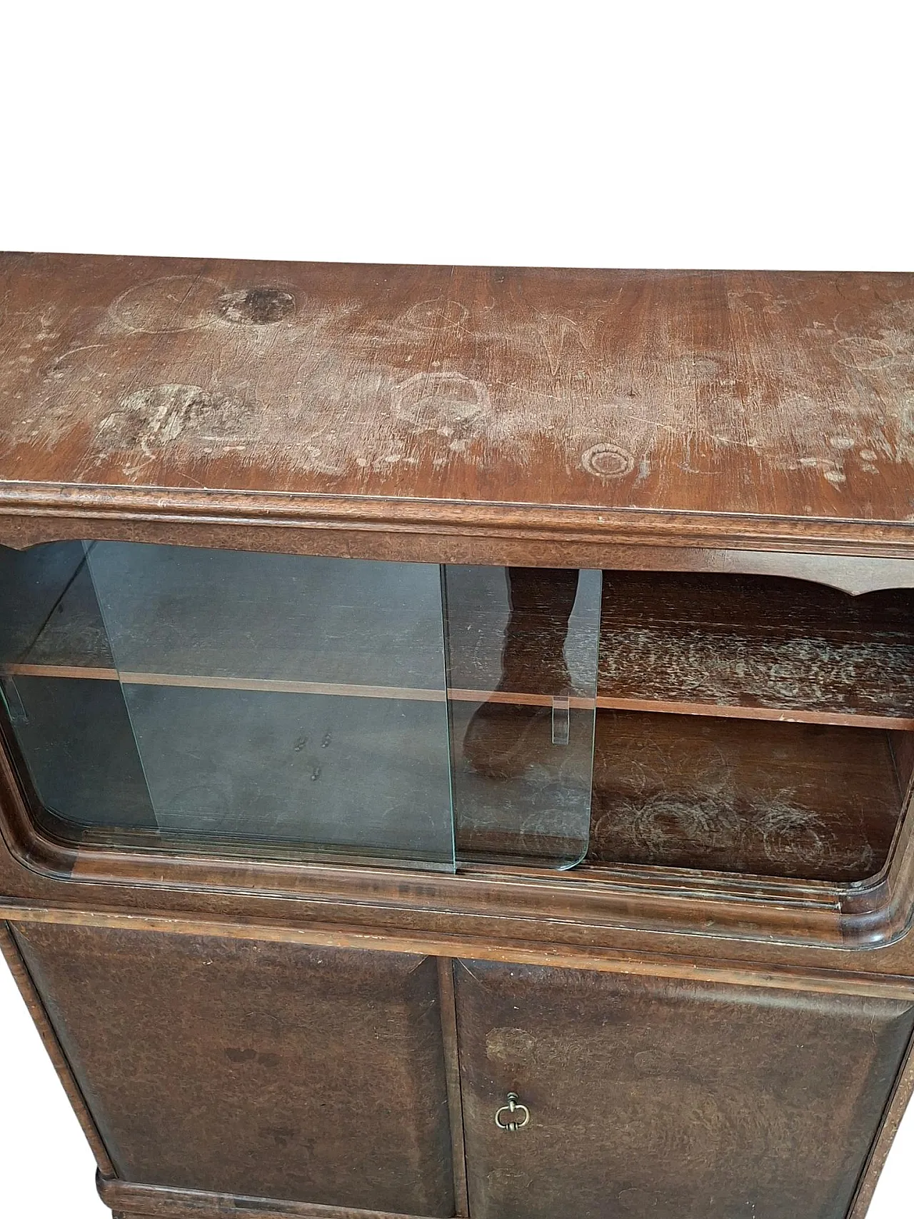 Mid-Century burl window display, mid-20th century 13