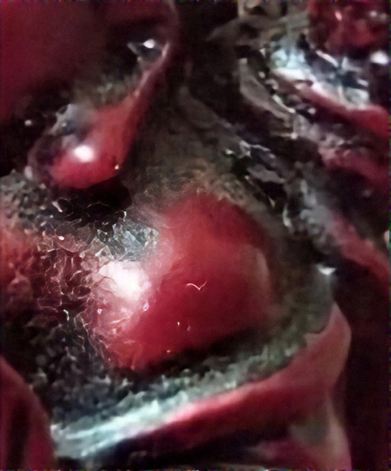 Chinese carved carnelian laughing Buddha, 18th century 4