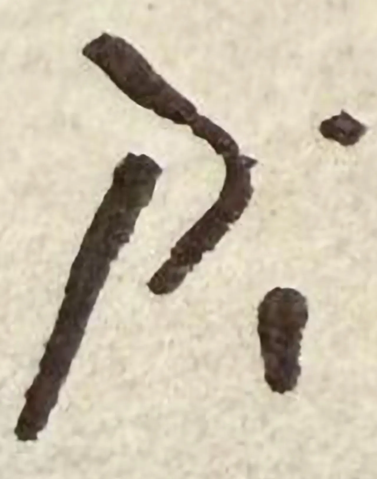 Audace maschera modernista di Pablo Picasso, '900 5