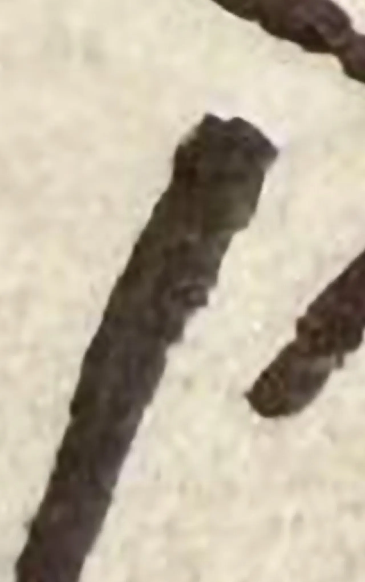 Audace maschera modernista di Pablo Picasso, '900 7