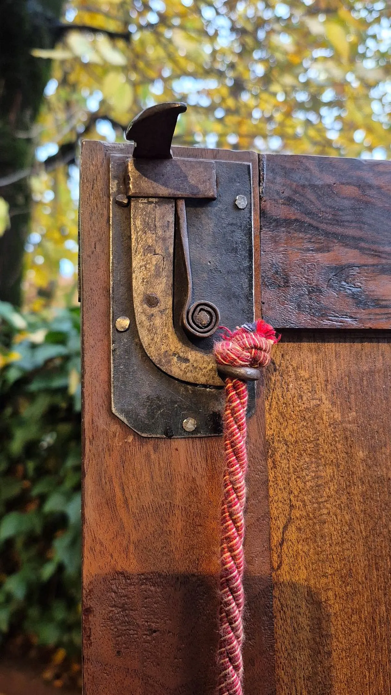 Armadio in legno di noce pannellato, '800 7